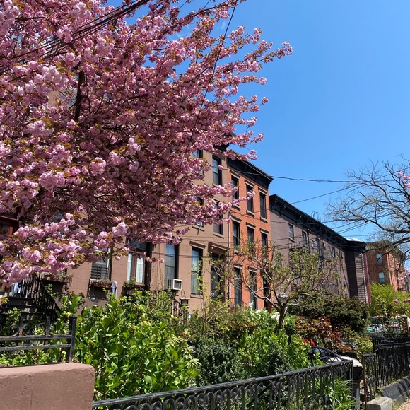 Meet your Posher, Lauren - Picture 1 of 1